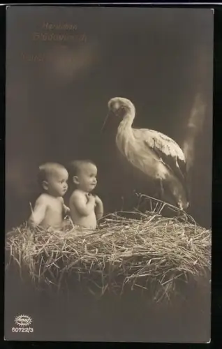 Foto-AK Amag Nr. 60722/3: Zwei Babys im Storchennest, Glückwunsch zur Geburt