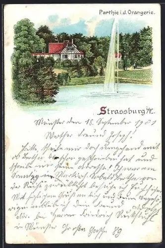 Lithographie Strassburg i. E., Partie in der Orangerie