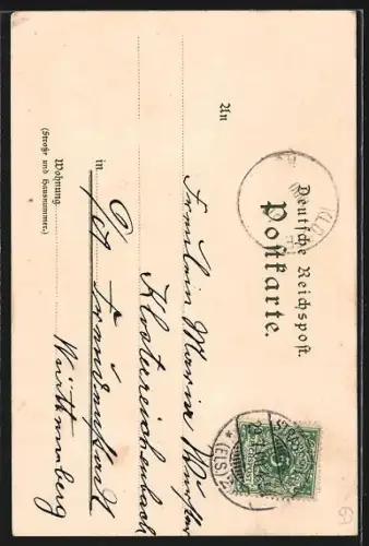 Künstler-Lithographie Franz Xaver Hoch: Strassburg, Fassade des Frauenhauses