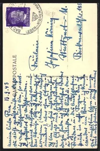 AK Niederbronn-les-Bains, Partie du jardin de l`Hôtel Matthis