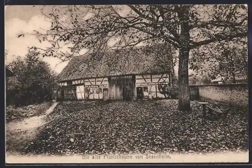 AK Sesenheim, Die alte Pfarrscheune