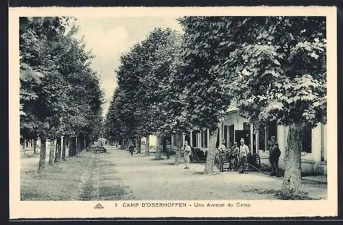 AK Camp d`Oberhofen, Une Avenue du Camp