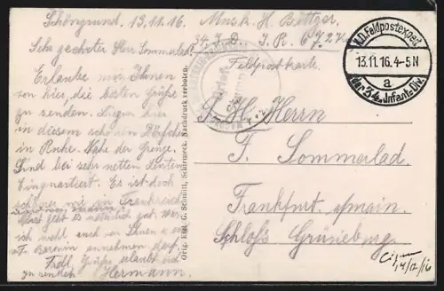 AK Schöngrund in den Hoch-Vogesen, Pension, Steinschloss Meintei, Panorama