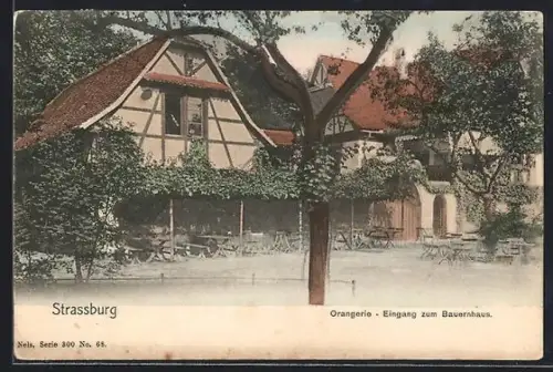 AK Strassburg, Orangerie, Eingang zum Bauernhaus