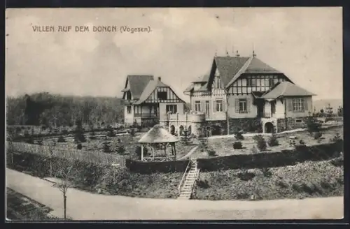 AK Donon /Vogesen, Strassenpartie mit Villen