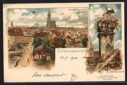 Künstler-AK Carl Münch: Strassburg, Storchenest, Gesamtansicht aus der Vogelschau