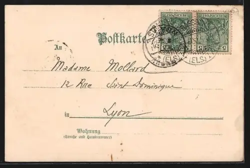 Künstler-AK Carl Münch: Strassburg, Storchenest, Gesamtansicht aus der Vogelschau