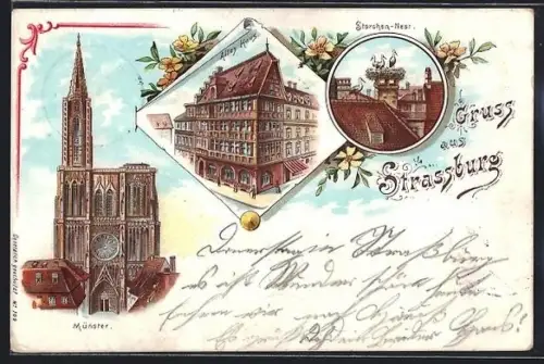 Lithographie Strassburg, Altes Haus, Münster, Storchen-Nest