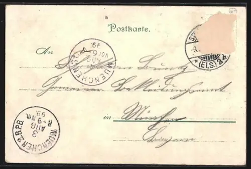 Lithographie Strassburg, Altes Haus, Münster, Storchen-Nest