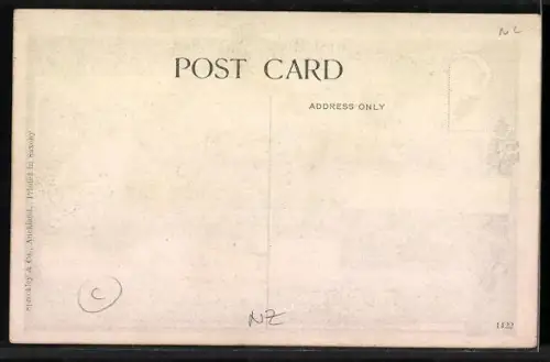 AK Auckland, Panorama, Segelboote u. Dampfer in Fahrt