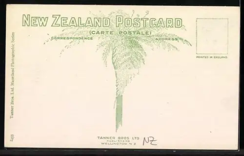 AK Wellington, Government Buildings