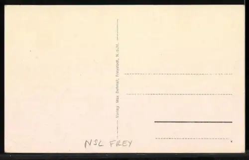 AK Freystadt, Strassenpartie mit Kirche