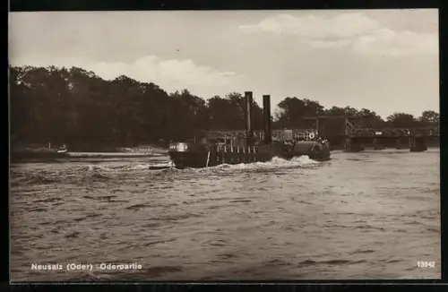 AK Neusalz /Oder, Oderpartie mit Dampfer