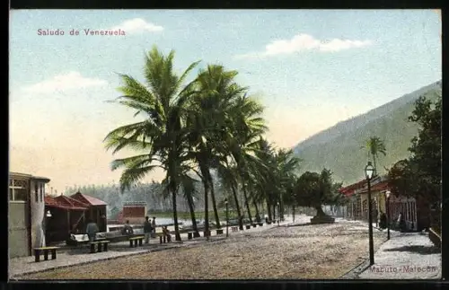 AK Macuto-Malecón, Strassenpartie mit Palmen