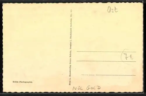 AK Haynau i. Schl., Strasse Ring mit Denkmal