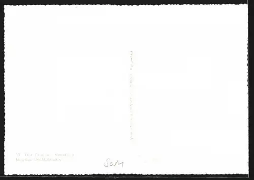 AK Mogadiscio, Corso Vittorio Emanuele dalla Garesa