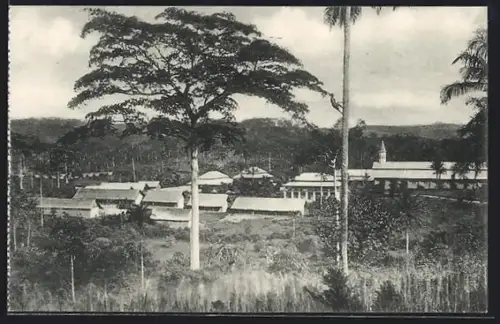 AK Kangu, Vue générale de la mission