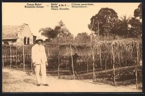 AK Reeks, Cultures maraichéres