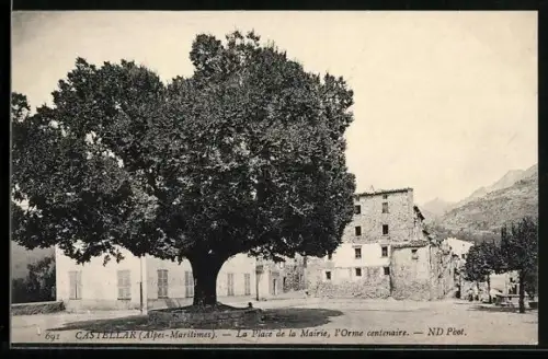 AK Castellar /Alpes-Maritimes, La Place de la Mairie, l`Orme centenaire