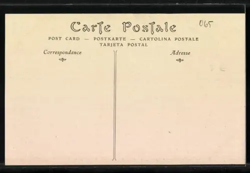 AK Castellar /Alpes-Maritimes, La Place de la Mairie, l`Orme centenaire