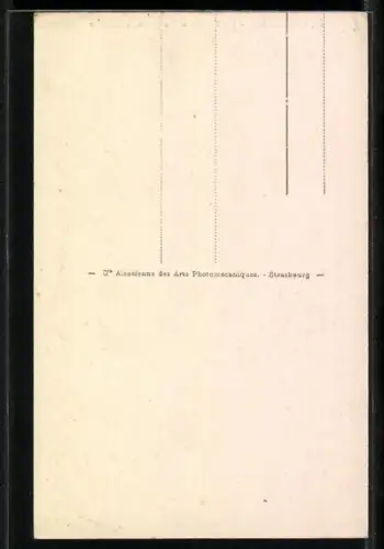 AK Cauterets, La Ferme de la Reine Hortense