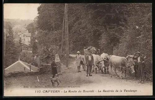AK Capvern, La Route du Bouridé, La Rentrée de la Vendange