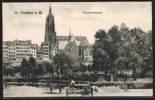 AK Alt-Frankfurt, Dom, Mainufer, Stadtansicht