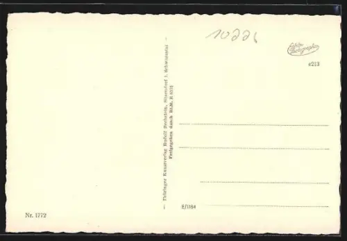 AK Arnstadt, Totalansicht vom Neckarturm gesehen