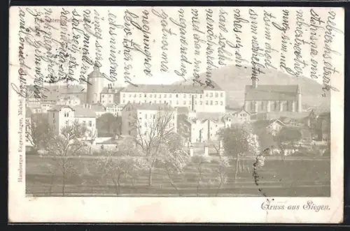 AK Siegen, Ortspanorama von einer Wiese aus