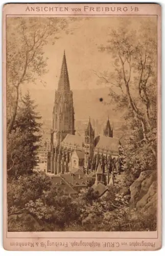 Fotografie C. Ruf, Freiburg i. B., Ansicht Freiburg i. B., Blick auf das Münster vom Wald aus gesehen