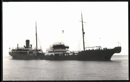 Fotografie M. R. Dippy, Largs Bay, Frachtschiff Neptun Kabelschiff, Kabelleger