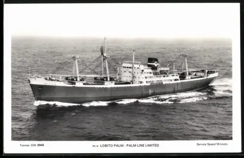 Fotografie Containerschiff M.V. Lobito Palm