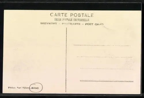 AK Malmö, Malmöhus Slott