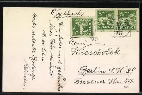 AK Rättvik, Persborgs pensionat fran flygplan