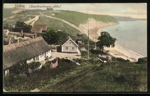 AK Sandhammars udde /Skane, Ortsansicht mit Küste