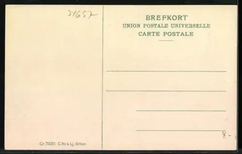 AK Visby, Botaniska Trädgarden och D. B. W:s Paviljong