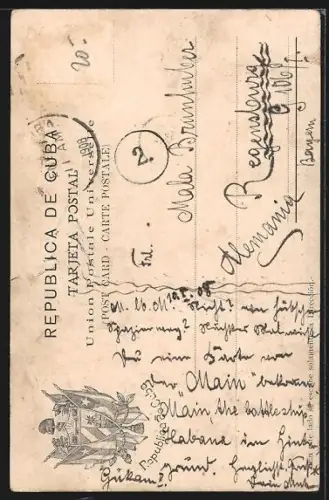 AK Habana, Avenida de palmas