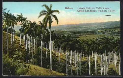 AK Habana, Paisaje Cubano, Valle Yumuri