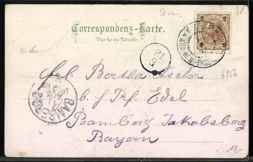 Lithographie Bruck an der Mur, Eiserner Brunnen, Ortspartien, Gesamtansicht