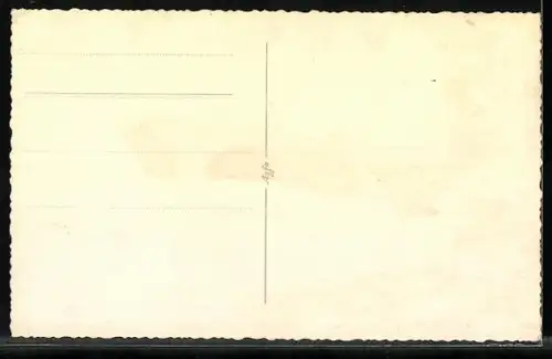 Foto-AK Mittersill /Pinzgau, Fremdenpension Landsteiner