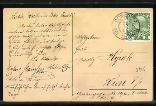 AK Donawitz, Teilansicht mit Wildfeld, Rauchkoppen und Lins