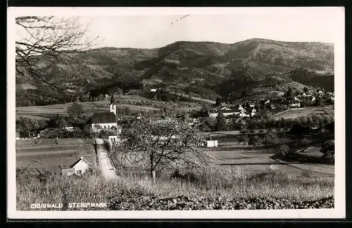 AK Eibiswald /Steiermark, Ortspartie mit Kirche