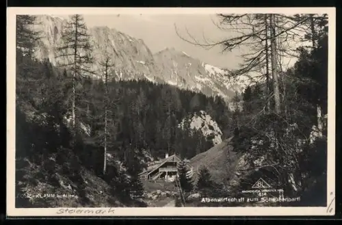 AK Thörl b. Aflenz, Fölz-Klamm, Alpengasthaus zum Schwabenbartl