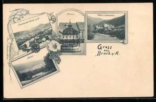 AK Bruck a. M., Schloss Lichtenstein, Kloster, Brunnen