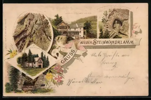Lithographie Weissenbach am Triesting, Steinwandklamm, Schutzhaus auf dem Kreuth, Gasthaus beim Eingang