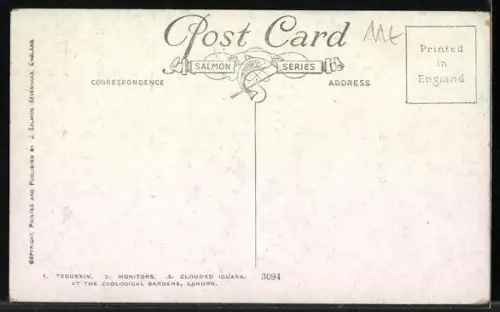 Künstler-AK London, Teguexin, Monitors, Clouded Iguana