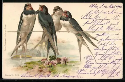 AK Sommerliche Landschaft mit vier Schwalben