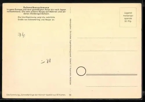 AK Schwalbenschwanz, Schmetterling und Raupe, Schmetterlinge der Heimat