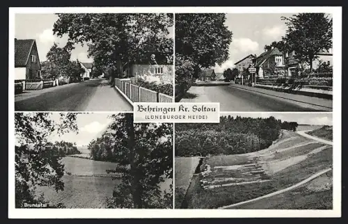 AK Behringen / Lüneburger Heide, Collage mit Brunautal und Strassenpartien