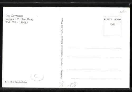 AK Clowns Les Cavalinios, Zirkus